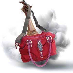 George Gina & Lucy All Sm; Les Maroon Plum Canvas Nylon RFID Satchel